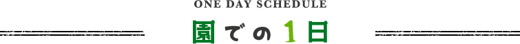 園での1日