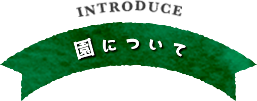園について