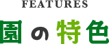 ながおか保育園の特色
